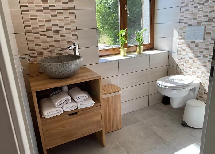 Dahu - Vue Panoramique La Bresse-gerardmer Apartment *